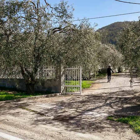 Ferienhaus Olive & Mare House