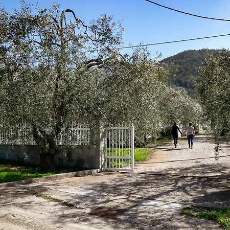 Ferienhaus Olive & Mare House Pachi