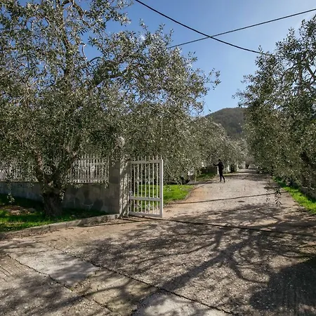 Olive & Mare House *